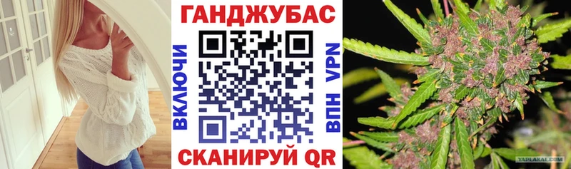 mega Асино Каннабис сатива